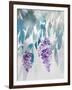 Delightful Wisteria-Tania Bello-Framed Giclee Print