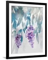 Delightful Wisteria-Tania Bello-Framed Giclee Print