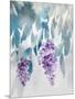 Delightful Wisteria-Tania Bello-Mounted Giclee Print