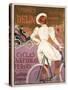 Delin Cycles Automobiles Moteurs, 1898-Georges Gaudy-Stretched Canvas