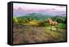 Delius Farm-Spencer Williams-Framed Stretched Canvas