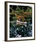 Deliverance-null-Framed Photo