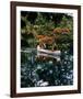 Deliverance-null-Framed Photo