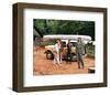 Deliverance-null-Framed Photo