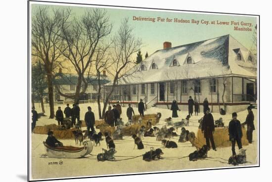 Delivering Fur for the Hudson's Bay Company at Lower Fort Gary, Manitoba, Canada-null-Mounted Photographic Print