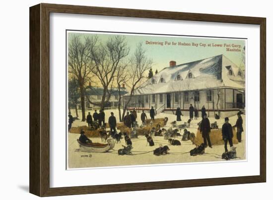 Delivering Fur for the Hudson's Bay Company at Lower Fort Gary, Manitoba, Canada-null-Framed Photographic Print