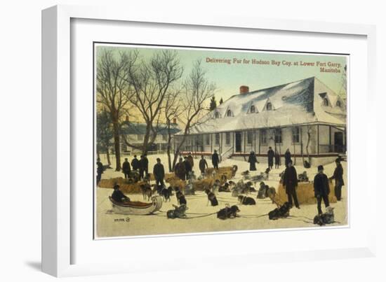 Delivering Fur for the Hudson's Bay Company at Lower Fort Gary, Manitoba, Canada-null-Framed Photographic Print