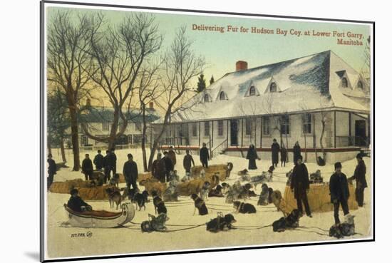 Delivering Fur for the Hudson's Bay Company at Lower Fort Gary, Manitoba, Canada-null-Mounted Photographic Print