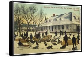 Delivering Fur for the Hudson's Bay Company at Lower Fort Gary, Manitoba, Canada-null-Framed Stretched Canvas