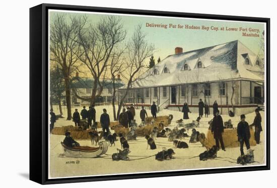 Delivering Fur for the Hudson's Bay Company at Lower Fort Gary, Manitoba, Canada-null-Framed Stretched Canvas