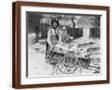 Brown Frame