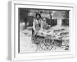 White Frame