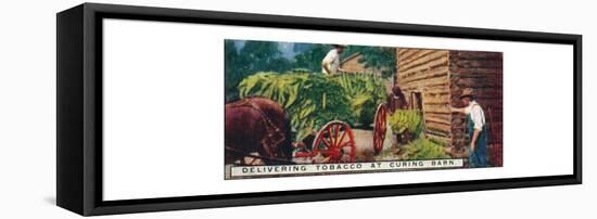 'Delivering Tobacco at Curing Barn', 1926-Unknown-Framed Stretched Canvas