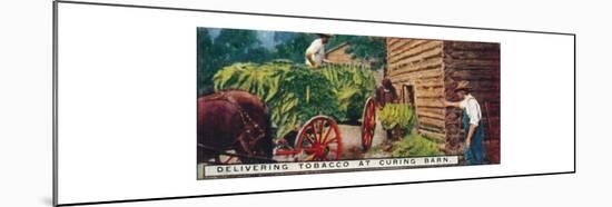 'Delivering Tobacco at Curing Barn', 1926-Unknown-Mounted Giclee Print