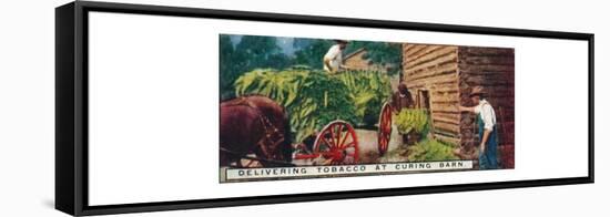 'Delivering Tobacco at Curing Barn', 1926-Unknown-Framed Stretched Canvas
