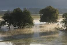 Whirlpool with Foam - Pollution on Surface, Trebizat River, Kravice Falls, Bosnia and Herzegovina-della Ferrera-Photographic Print