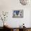 Della Robbia: Annunciation-Andrea Della Robbia-Mounted Giclee Print displayed on a wall