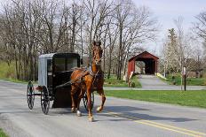 Amish Horse and Carriage-Delmas Lehman-Framed Photographic Print