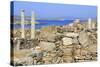 Delos Archaeological Ruins, Delos, Cyclades, Greek Islands, Greece, Europe-Richard Cummins-Stretched Canvas