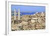 Delos Archaeological Ruins, Delos, Cyclades, Greek Islands, Greece, Europe-Richard Cummins-Framed Photographic Print