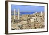 Delos Archaeological Ruins, Delos, Cyclades, Greek Islands, Greece, Europe-Richard Cummins-Framed Photographic Print