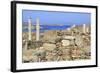 Delos Archaeological Ruins, Delos, Cyclades, Greek Islands, Greece, Europe-Richard Cummins-Framed Photographic Print