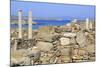 Delos Archaeological Ruins, Delos, Cyclades, Greek Islands, Greece, Europe-Richard Cummins-Mounted Photographic Print