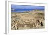 Delos Archaeological Ruins, Delos, Cyclades, Greek Islands, Greece, Europe-Richard Cummins-Framed Photographic Print