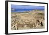 Delos Archaeological Ruins, Delos, Cyclades, Greek Islands, Greece, Europe-Richard Cummins-Framed Photographic Print