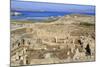 Delos Archaeological Ruins, Delos, Cyclades, Greek Islands, Greece, Europe-Richard Cummins-Mounted Photographic Print