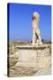 Delos Archaeological Ruins, Delos, Cyclades, Greek Islands, Greece, Europe-Richard Cummins-Stretched Canvas