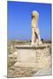 Delos Archaeological Ruins, Delos, Cyclades, Greek Islands, Greece, Europe-Richard Cummins-Mounted Photographic Print