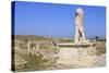 Delos Archaeological Ruins, Delos, Cyclades, Greek Islands, Greece, Europe-Richard Cummins-Stretched Canvas