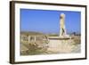 Delos Archaeological Ruins, Delos, Cyclades, Greek Islands, Greece, Europe-Richard Cummins-Framed Photographic Print