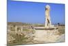 Delos Archaeological Ruins, Delos, Cyclades, Greek Islands, Greece, Europe-Richard Cummins-Mounted Photographic Print