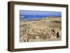 Delos Archaeological Ruins, Delos, Cyclades, Greek Islands, Greece, Europe-Richard Cummins-Framed Photographic Print