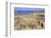 Delos Archaeological Ruins, Delos, Cyclades, Greek Islands, Greece, Europe-Richard Cummins-Framed Photographic Print