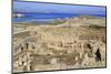 Delos Archaeological Ruins, Delos, Cyclades, Greek Islands, Greece, Europe-Richard Cummins-Mounted Photographic Print