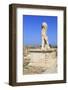 Delos Archaeological Ruins, Delos, Cyclades, Greek Islands, Greece, Europe-Richard Cummins-Framed Photographic Print