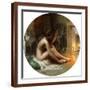 Brown Frame