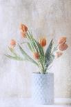 A bunch of tulips-Delphine Devos-Photographic Print
