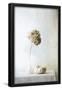 Essential Black
