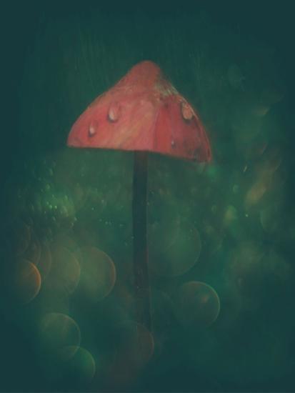Photographic Print, , large
