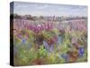 Delphinium Field and Church-Timothy Easton-Stretched Canvas