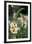 Delphinium Field-Anna Miller-Framed Premium Photographic Print