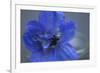 Delphinium Flower I-Rita Crane-Framed Photographic Print