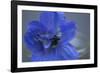 Delphinium Flower I-Rita Crane-Framed Photographic Print