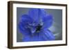 Delphinium Flower I-Rita Crane-Framed Photographic Print