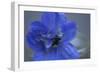 Delphinium Flower I-Rita Crane-Framed Photographic Print