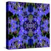 Delphinium X2-Rose Anne Colavito-Stretched Canvas